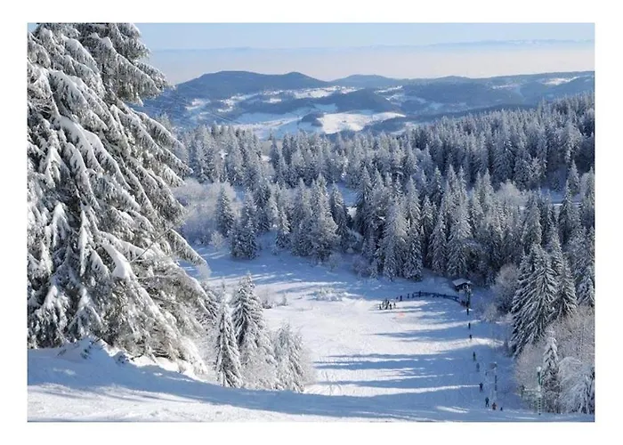 Le Bonhomme Proche De Kaysersberg Et Du Lac Blanc